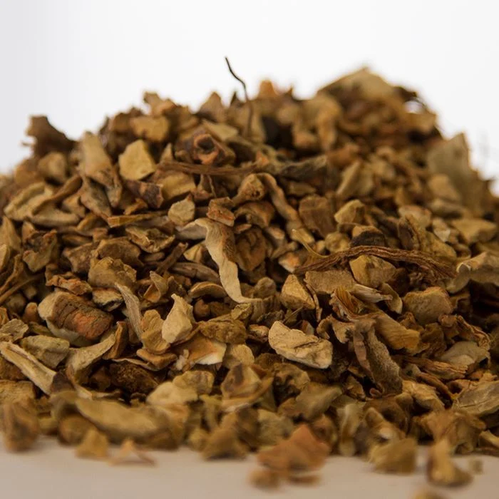 Angelica Root