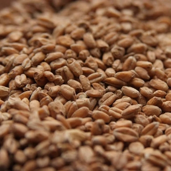 Kansas Malting Company Red Wheat 50 lb Bag