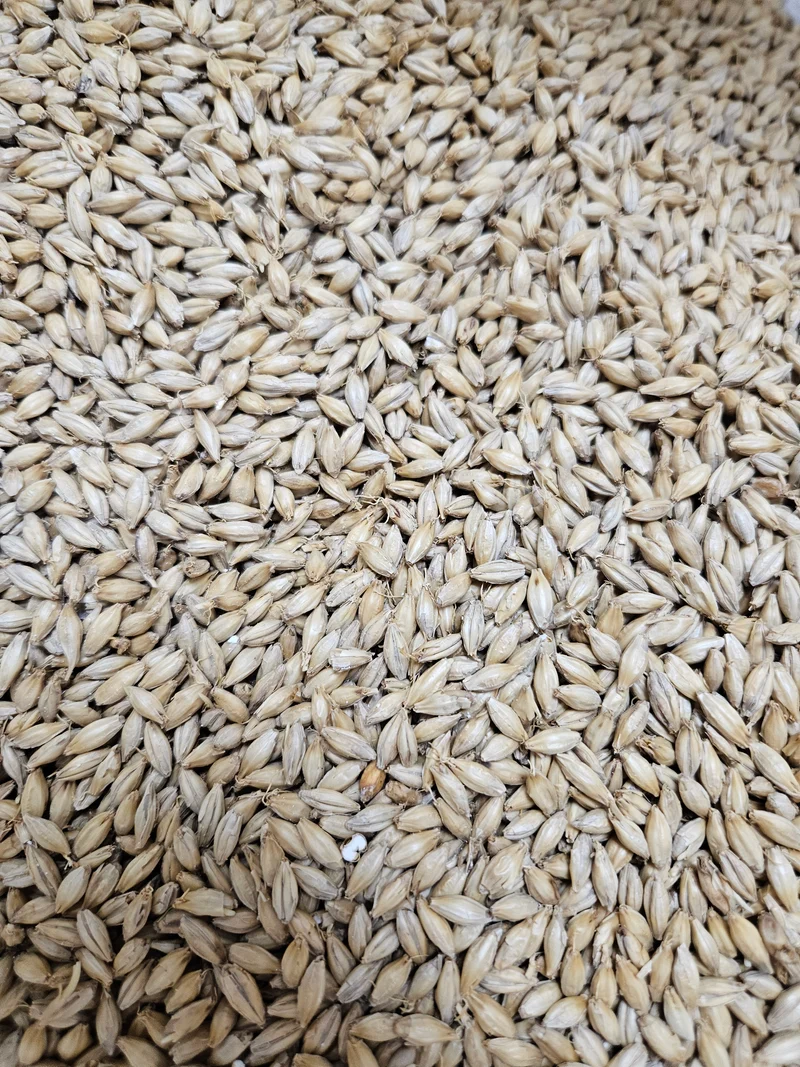 Kansas Malting Company Pilsner Malt 50 lb bag