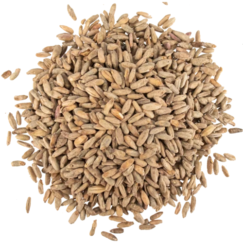 Rye Malt - Viking Malt