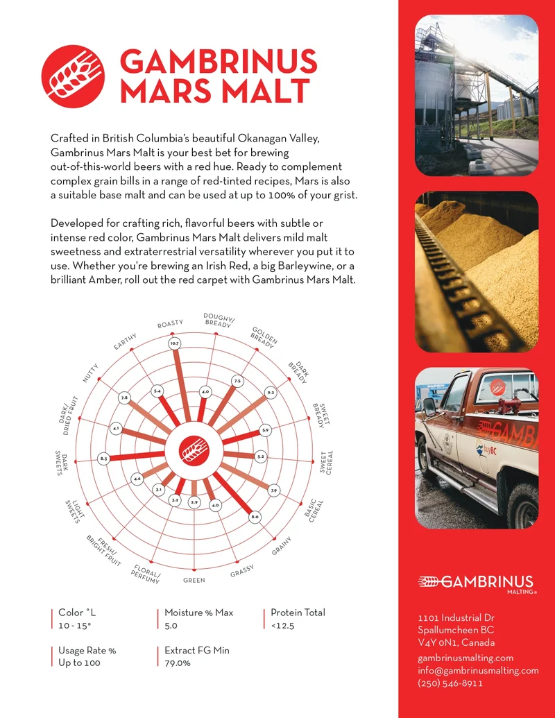 Gambrinus Mars Malt 10-15 L