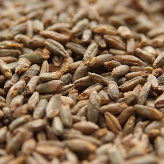 Weyermann® Pale Rye Malt 55lb 2-4L