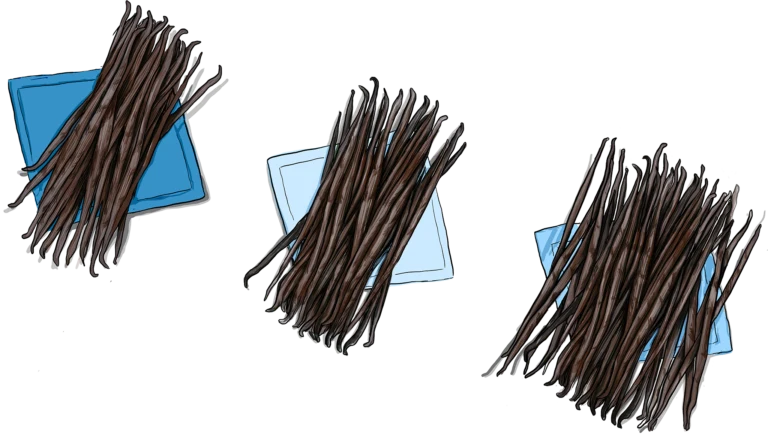 Madagascar Vanilla Beans - 25 count