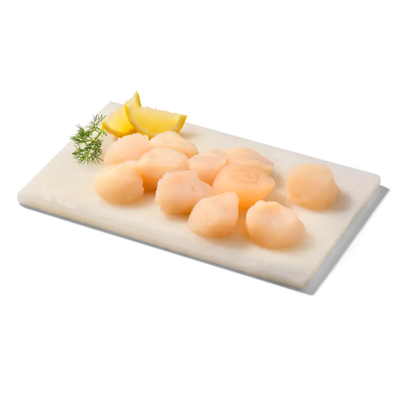 Excellent Coquilles