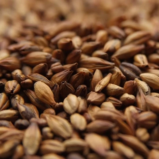 Weyermann® Munich Malt Type 2 10-13L