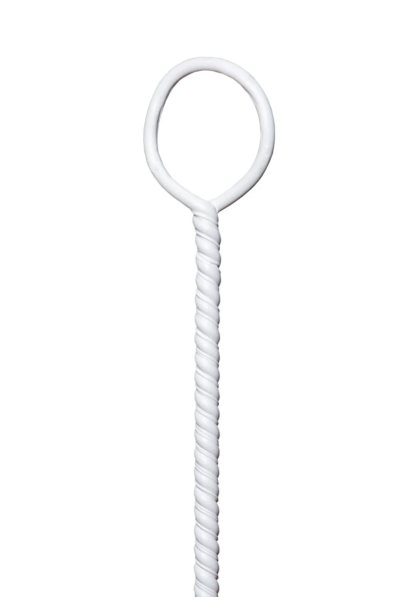 Angled Carboy Brush