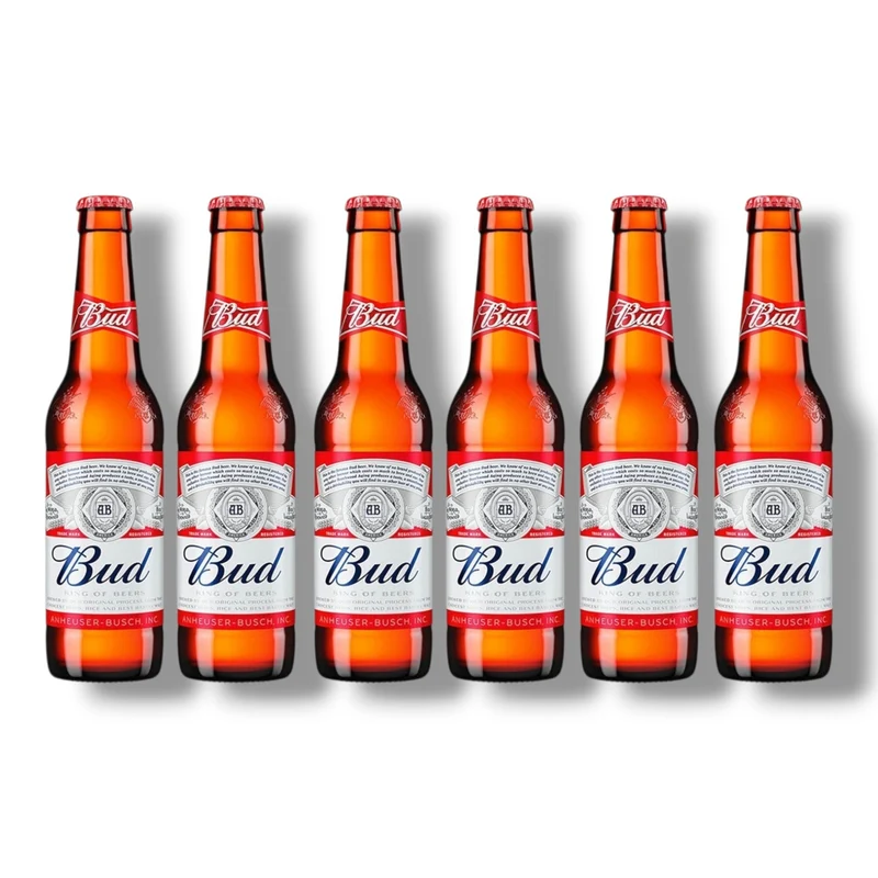 Bud Bier 0,33 l – Amerikanisches Lagerbier 5,0 % Vol.