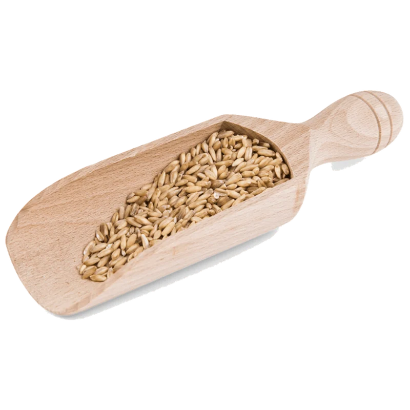 Holzschaufel Buche