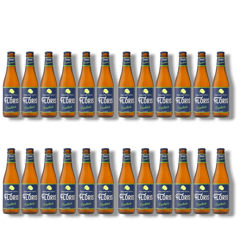 Floris Cactus 0,33 l – Belgisches Fruchtbier 4,2 % Vol.