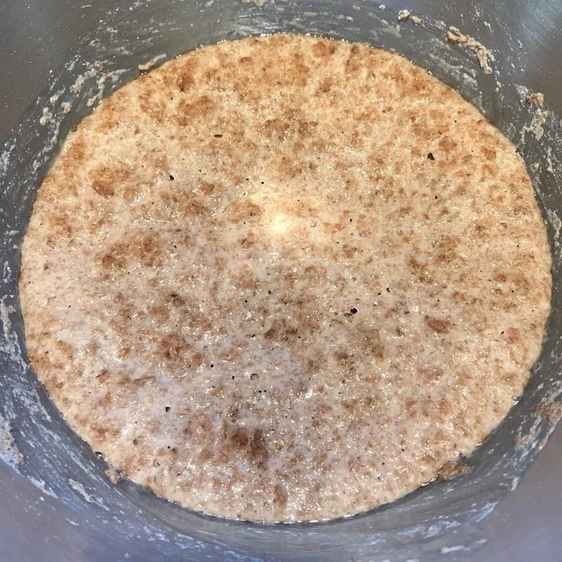 Sauerteig Anstellgut Roggen