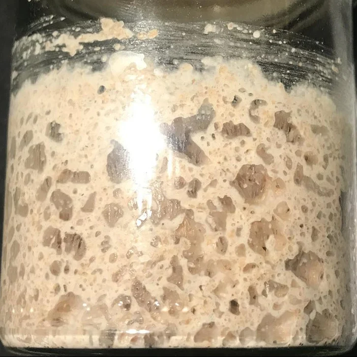 Sauerteig Anstellgut Weizen