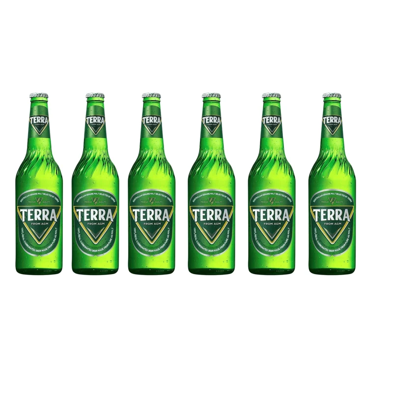 Terra Beer 0,33l – Südkoreas beliebtestes Lagerbier 4,6% Vol.