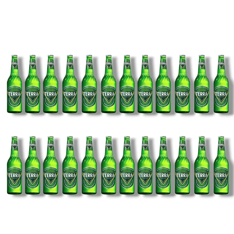 Terra Beer 0,33l – Südkoreas beliebtestes Lagerbier 4,6% Vol.