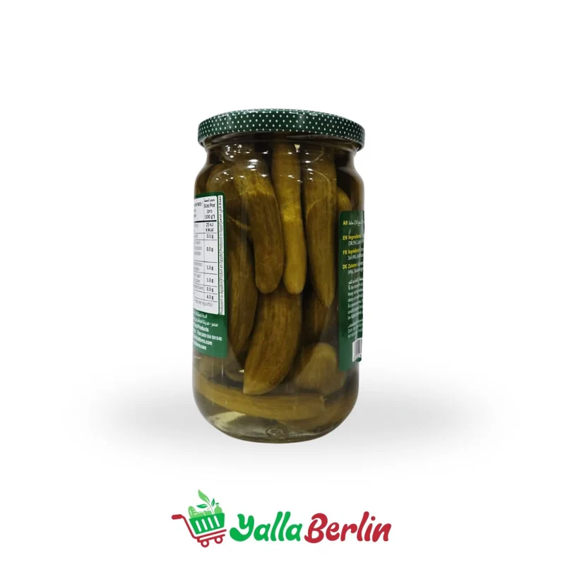 DURRA EINGELEGTE GURKEN IN SALZLAKE 650gr