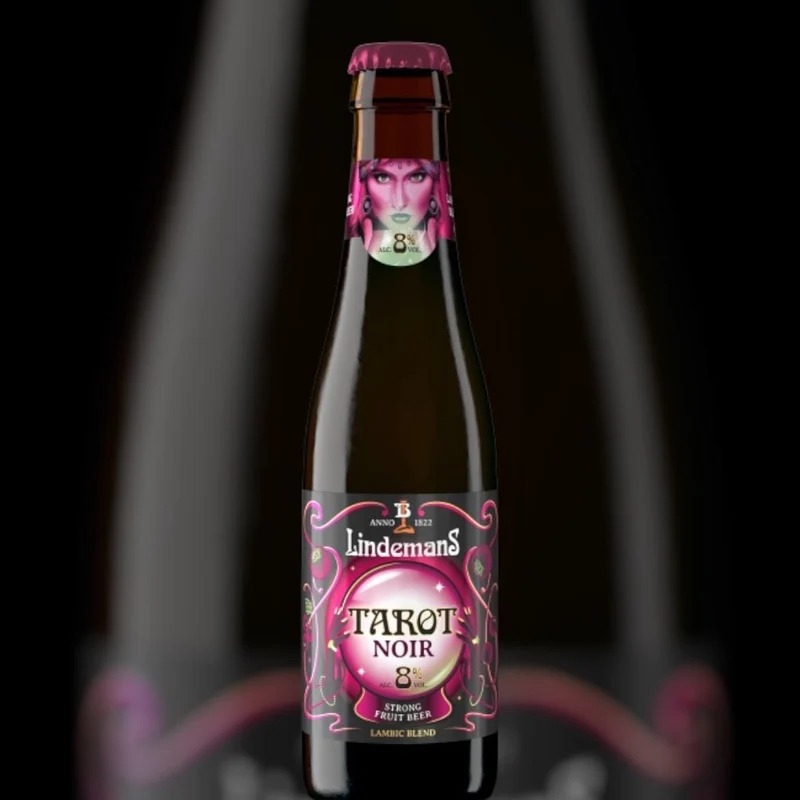 Lindemans Bier Mixpaket – 6 fruchtige Lambic-Biere