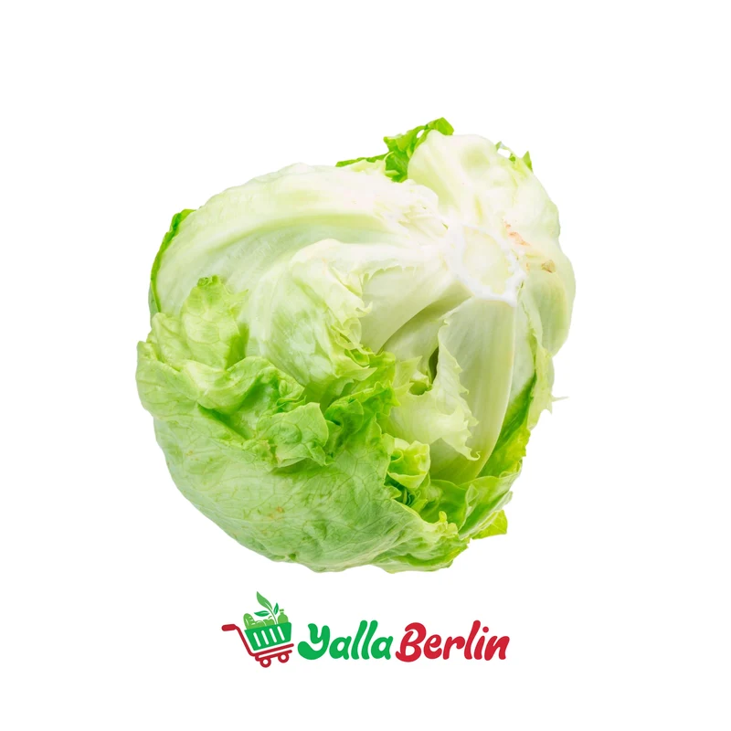 EISBERGSALAT 1 STK.