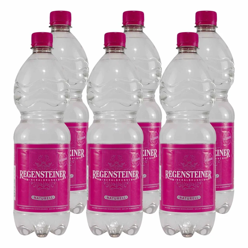 Regensteiner Mineralwasser -Naturelle- (12 x 1,0L) EINWEG