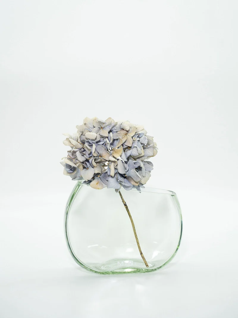 DESIGN – WINDLICHT & Vase - ein wunderbares Duo - ein klasse Geschenk - NUR BEI UNS